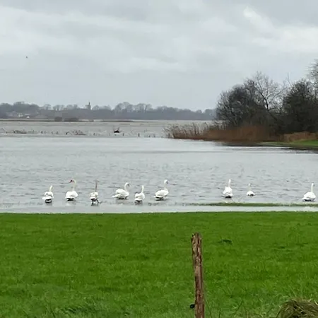 Des Champs Fondus Picauville
