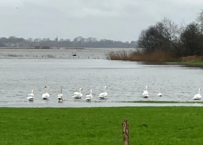Des Champs Fondus Picauville